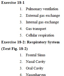 Answer Sheet Chapter 18-2